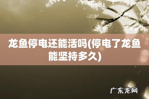 停电了龙鱼能坚持多久 龙鱼停电还能活吗