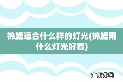 锦鲤用什么灯光好看 锦鲤适合什么样的灯光