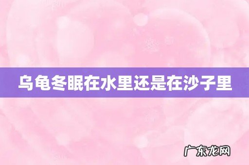 乌龟冬眠在水里还是在沙子里