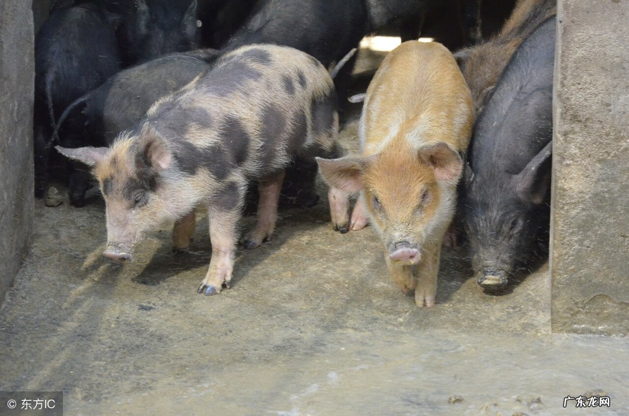 为什么会有锅底灰 锅底灰在风水有什么作用?