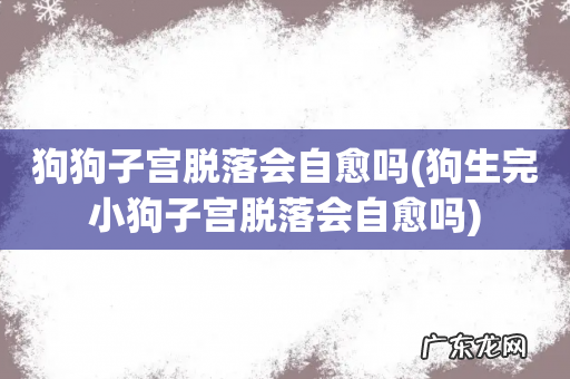 狗生完小狗子宫脱落会自愈吗 狗狗子宫脱落会自愈吗