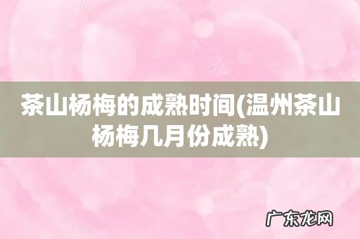 温州茶山杨梅几月份成熟 茶山杨梅的成熟时间