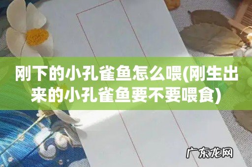 刚生出来的小孔雀鱼要不要喂食 刚下的小孔雀鱼怎么喂