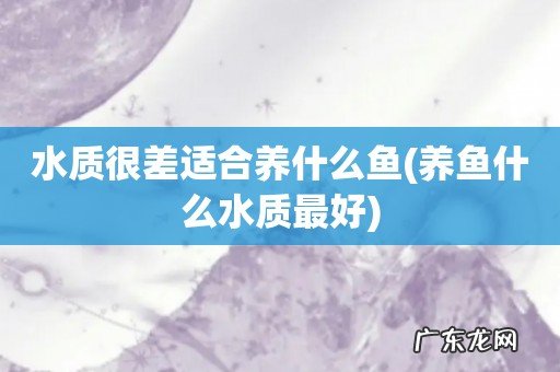 养鱼什么水质最好 水质很差适合养什么鱼