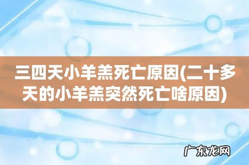 二十多天的小羊羔突然死亡啥原因 三四天小羊羔死亡原因
