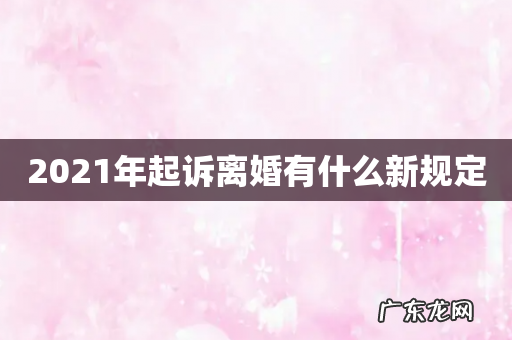 2021年起诉离婚有什么新规定