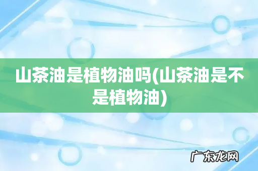 山茶油是不是植物油 山茶油是植物油吗