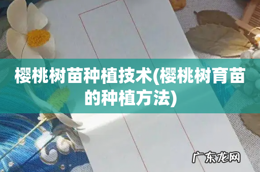 樱桃树育苗的种植方法 樱桃树苗种植技术