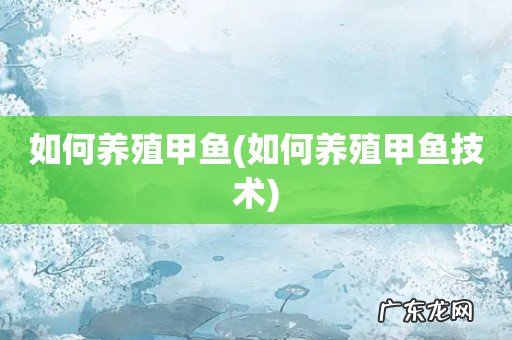 如何养殖甲鱼技术 如何养殖甲鱼