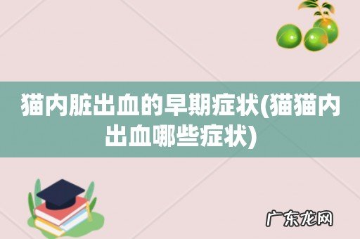 猫猫内出血哪些症状 猫内脏出血的早期症状