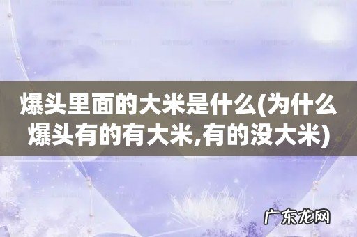 为什么爆头有的有大米,有的没大米 爆头里面的大米是什么