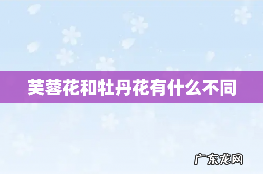 芙蓉花和牡丹花有什么不同