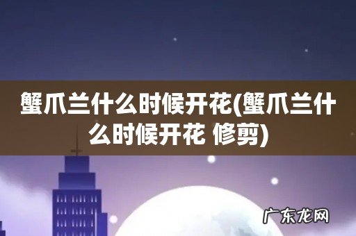 蟹爪兰什么时候开花 修剪 蟹爪兰什么时候开花