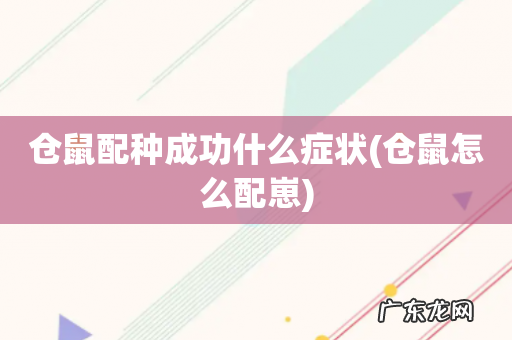 仓鼠怎么配崽 仓鼠配种成功什么症状