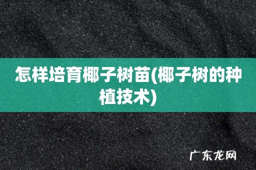 椰子树的种植技术 怎样培育椰子树苗