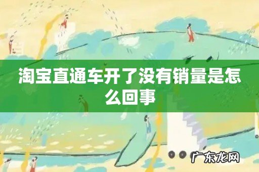 淘宝直通车开了没有销量是怎么回事