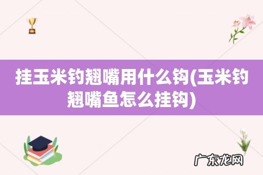 玉米钓翘嘴鱼怎么挂钩 挂玉米钓翘嘴用什么钩