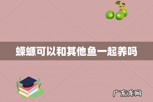 蝾螈可以和其他鱼一起养吗