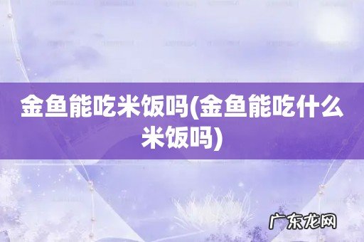 金鱼能吃什么米饭吗 金鱼能吃米饭吗