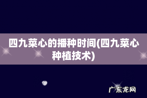 四九菜心种植技术 四九菜心的播种时间