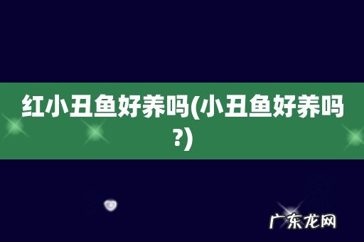 小丑鱼好养吗? 红小丑鱼好养吗
