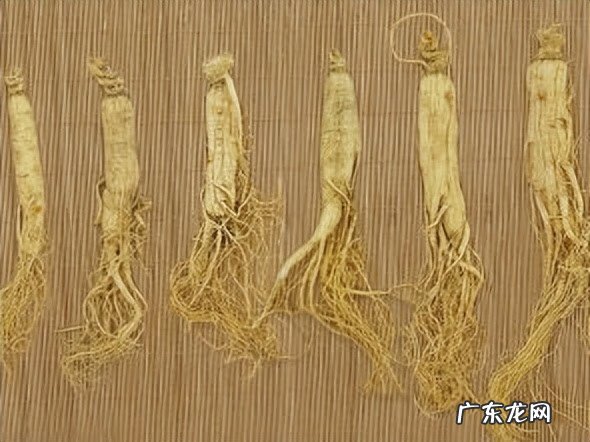 安神补脑液十大排名 安神健脑液功效作用?