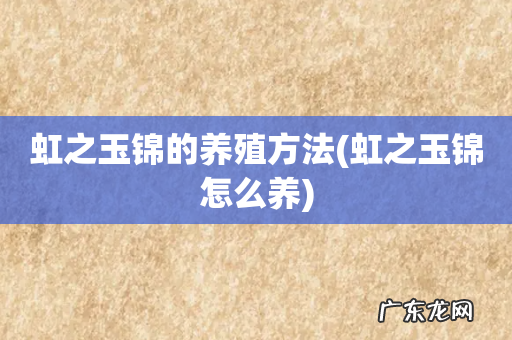 虹之玉锦怎么养 虹之玉锦的养殖方法