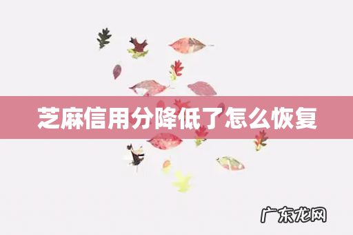 芝麻信用分降低了怎么恢复