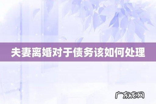 夫妻离婚对于债务该如何处理