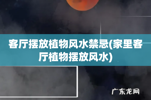 家里客厅植物摆放风水 客厅摆放植物风水禁忌