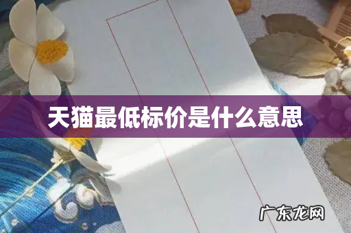 天猫最低标价是什么意思
