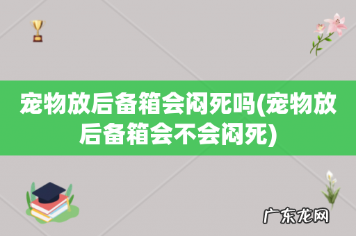 宠物放后备箱会不会闷死 宠物放后备箱会闷死吗
