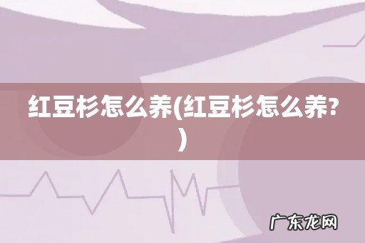 红豆杉怎么养? 红豆杉怎么养