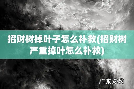 招财树严重掉叶怎么补救 招财树掉叶子怎么补救