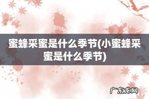 小蜜蜂采蜜是什么季节 蜜蜂采蜜是什么季节