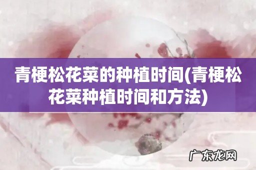 青梗松花菜种植时间和方法 青梗松花菜的种植时间