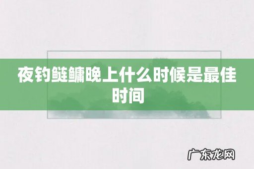 夜钓鲢鳙晚上什么时候是最佳时间