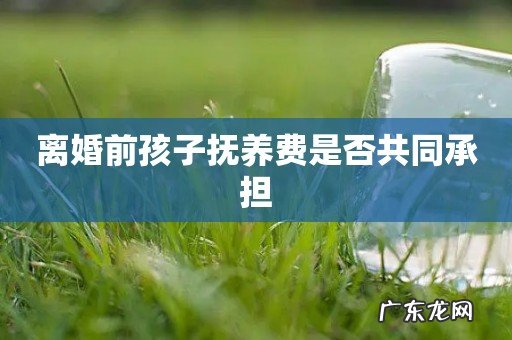 离婚前孩子抚养费是否共同承担
