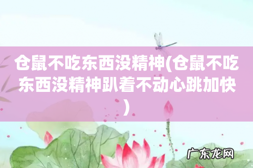 仓鼠不吃东西没精神趴着不动心跳加快 仓鼠不吃东西没精神