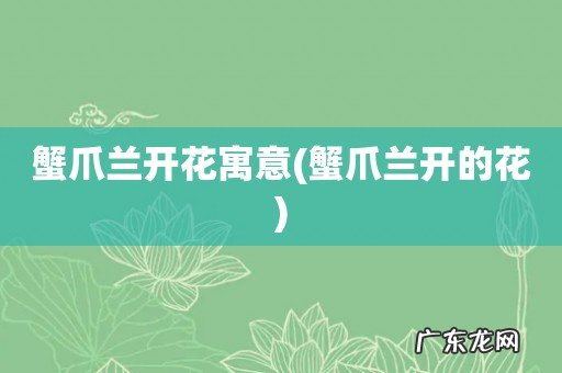 蟹爪兰开的花 蟹爪兰开花寓意