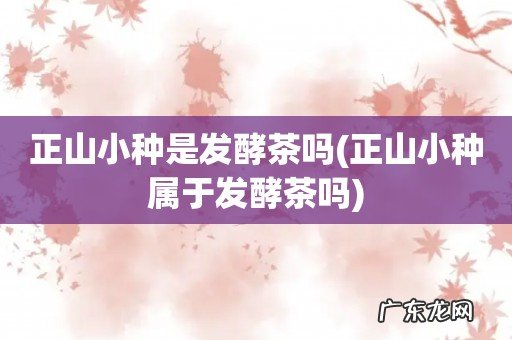 正山小种属于发酵茶吗 正山小种是发酵茶吗