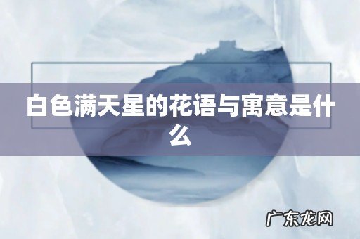 白色满天星的花语与寓意是什么