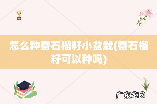 番石榴籽可以种吗 怎么种番石榴籽小盆栽