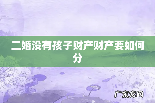 二婚没有孩子财产财产要如何分