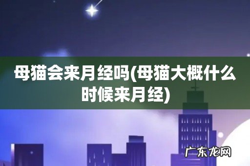 母猫大概什么时候来月经 母猫会来月经吗