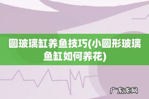 小圆形玻璃鱼缸如何养花 圆玻璃缸养鱼技巧