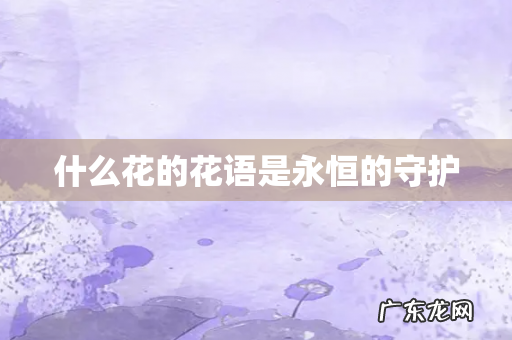 什么花的花语是永恒的守护