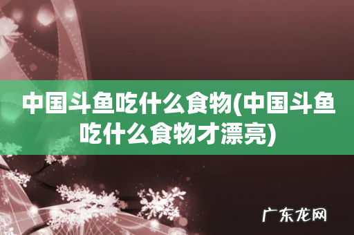 中国斗鱼吃什么食物才漂亮 中国斗鱼吃什么食物
