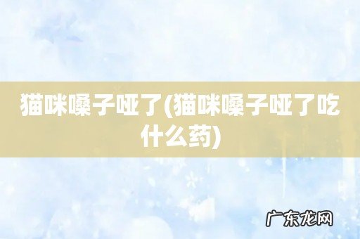 猫咪嗓子哑了吃什么药 猫咪嗓子哑了
