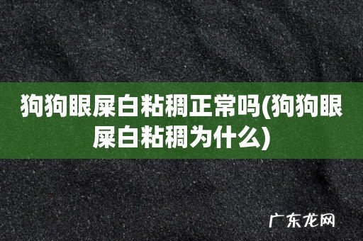 狗狗眼屎白粘稠为什么 狗狗眼屎白粘稠正常吗